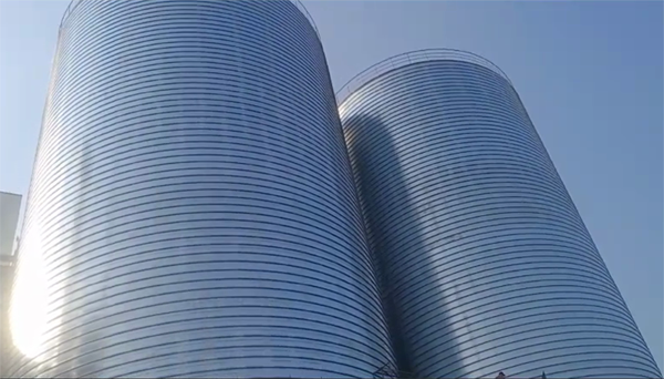 长汀2座混凝土高架卷板仓